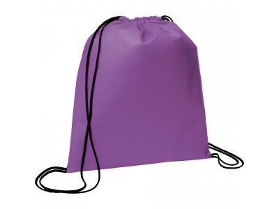 Promotional Giveaway Bags | The Evergreen Drawstring Cinch Backpack Purple