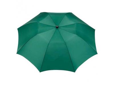 Promotional Giveaway Gifts & Kits | 42" Auto Open Folding Umbrella