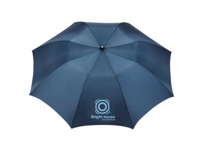 Promotional Giveaway Gifts & Kits | 42" Auto Open Folding Umbrella