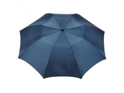 Promotional Giveaway Gifts & Kits | 42" Auto Open Folding Umbrella