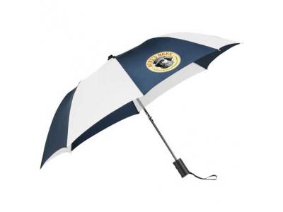 Promotional Giveaway Gifts & Kits | 42" Auto Open Folding Umbrella