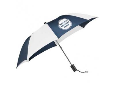 Promotional Giveaway Gifts & Kits | 42" Auto Open Folding Umbrella