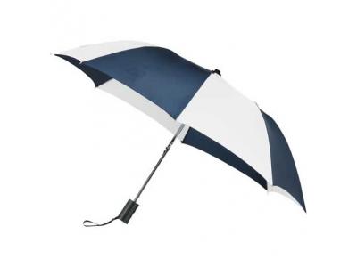 Promotional Giveaway Gifts & Kits | 42" Auto Open Folding Umbrella