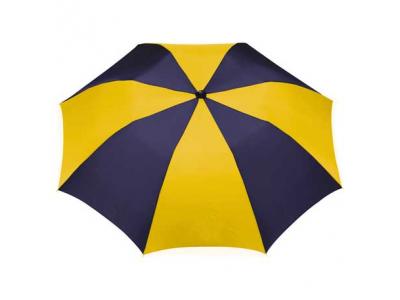 Promotional Giveaway Gifts & Kits | 42" Auto Open Folding Umbrella