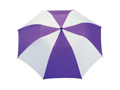 Promotional Giveaway Gifts & Kits | 42" Auto Open Folding Umbrella