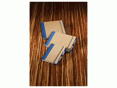 Promotional Giveaway Office | Evolution Recycled JournalBook Royal