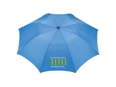 Promotional Giveaway Gifts & Kits | 42" Auto Open Folding Umbrella